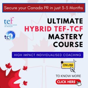 TEF TCF Hybrid Course